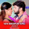 About New Bhojpuri Song 2023 Song